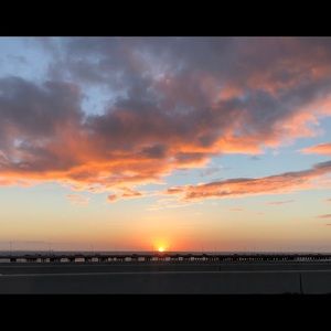 Meet your Posher, Casey